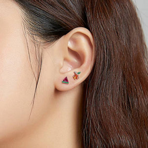 Yummy Summer Fruits Ear Studs