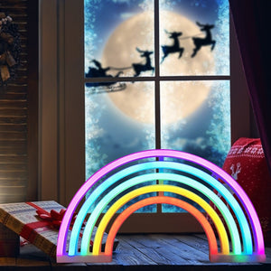 Rainbow Neon LED Light